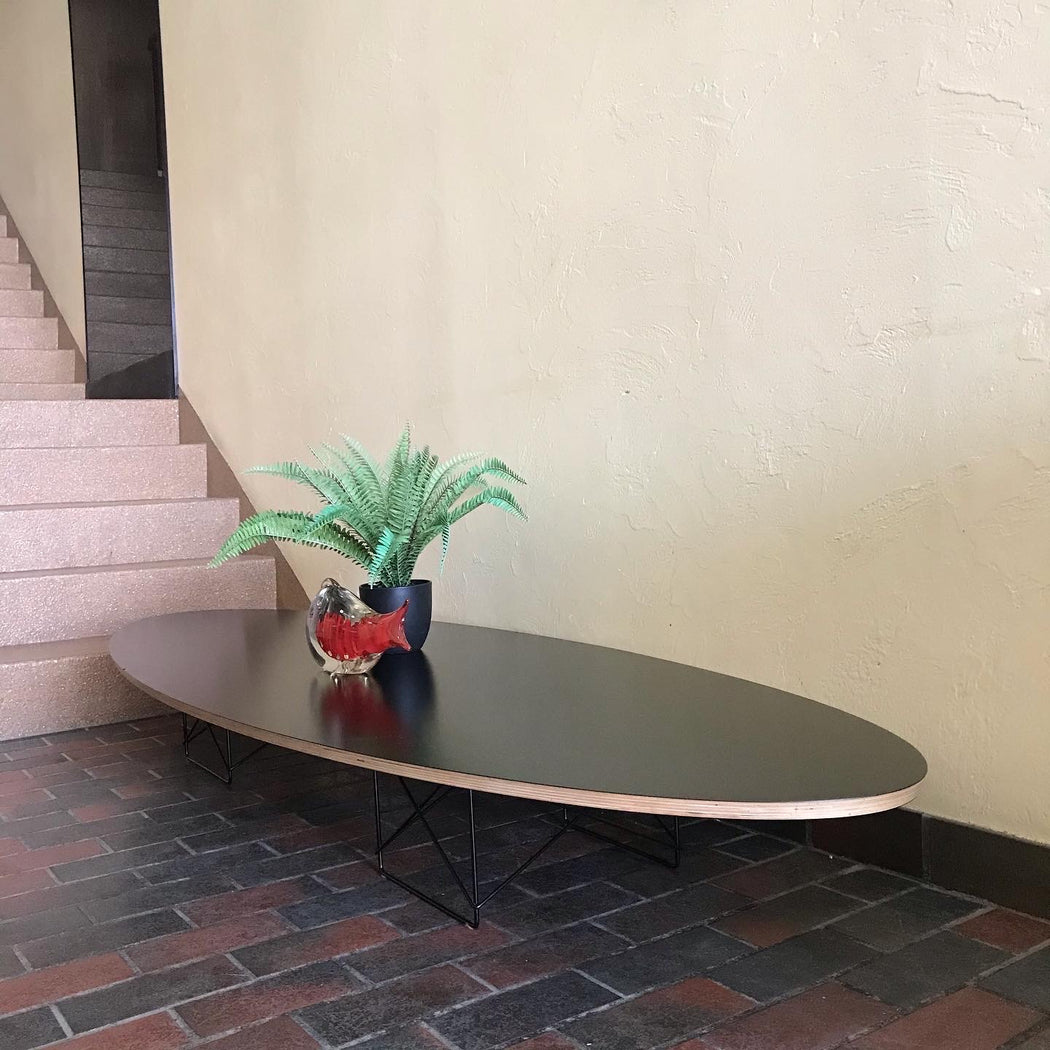 *ON HOLD* Eames Elliptical Coffee Table
