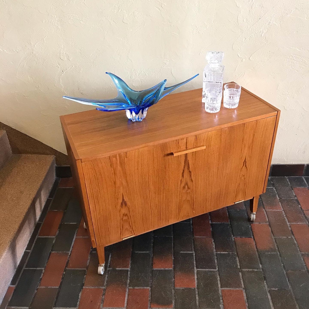Danish Teak Record Cabinet