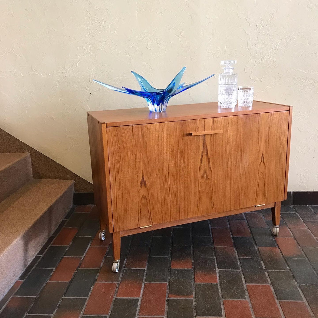 Danish Teak Record Cabinet
