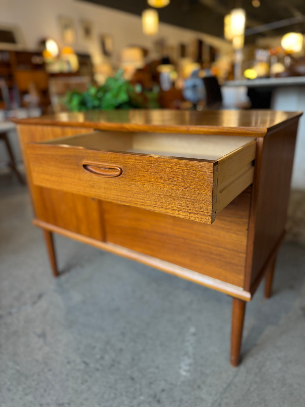 Danish Teak Petite Cabinet