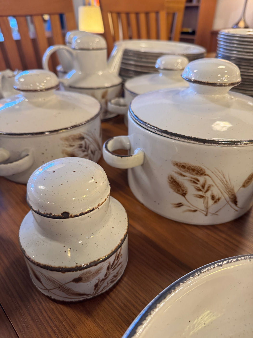 SALE • Wild Oats Stonehenge Midwinter Dish Set