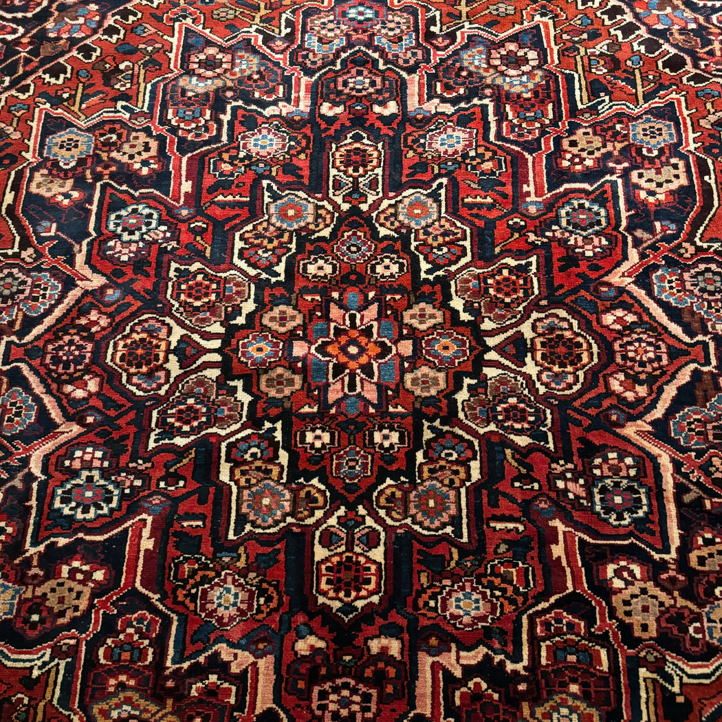 SALE • Bahktyari Persian Rug