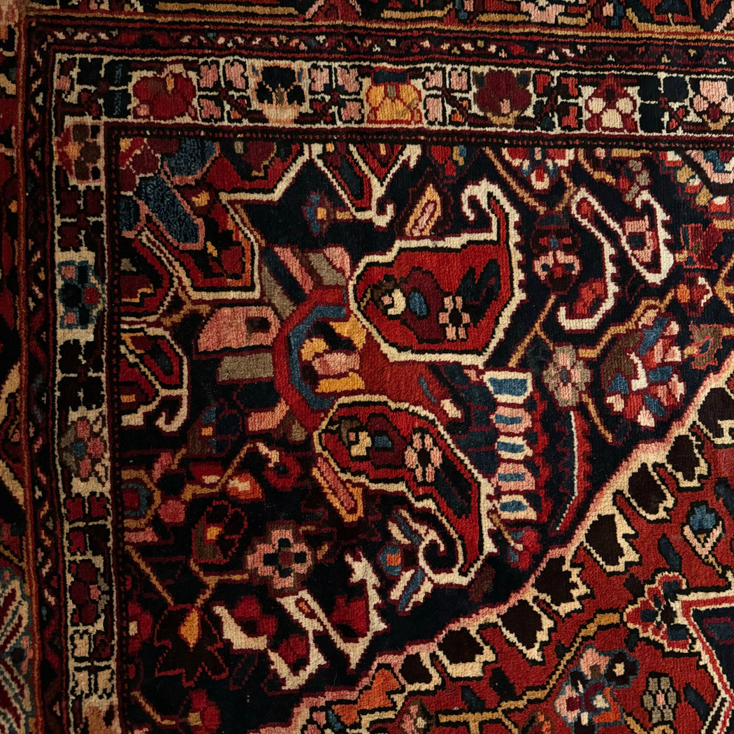 SALE • Bahktyari Persian Rug