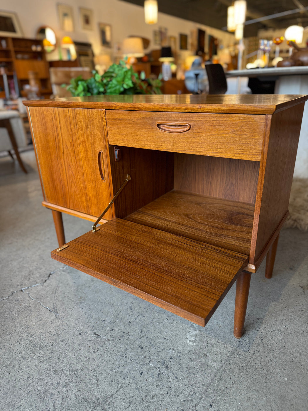 Danish Teak Petite Cabinet