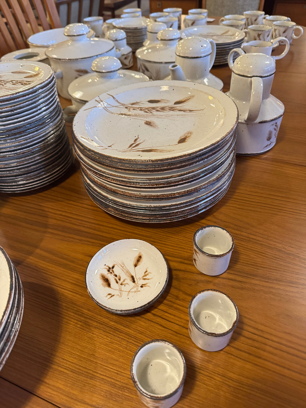 SALE • Wild Oats Stonehenge Midwinter Dish Set