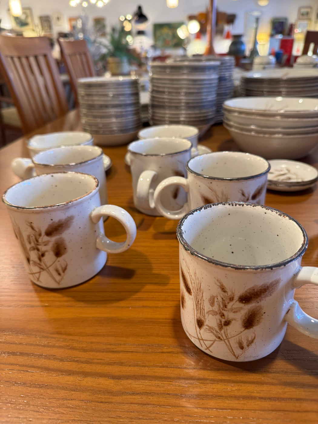 SALE • Wild Oats Stonehenge Midwinter Dish Set